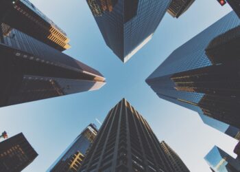 samson-ZGjbiukp_-A-unsplash